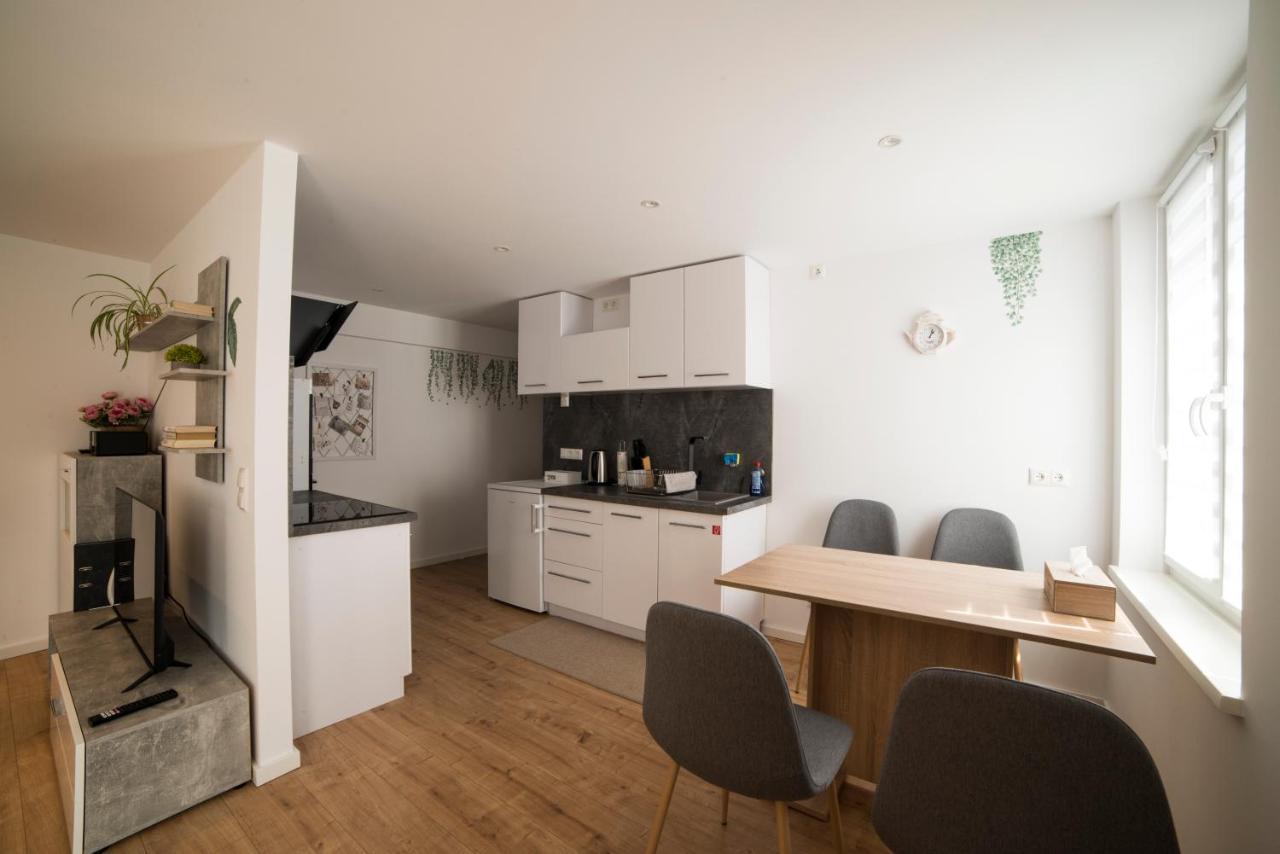 Schoene Ferienwohnung 54 M², Zentrumsnah, Kingbett Ерфурт Екстер'єр фото